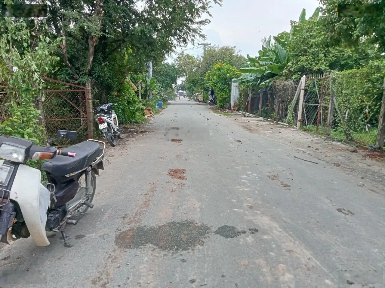 Bán 8x35m = 272m2 đất thổ cư MT đường 183, Bình Mỹ, Củ Chi
