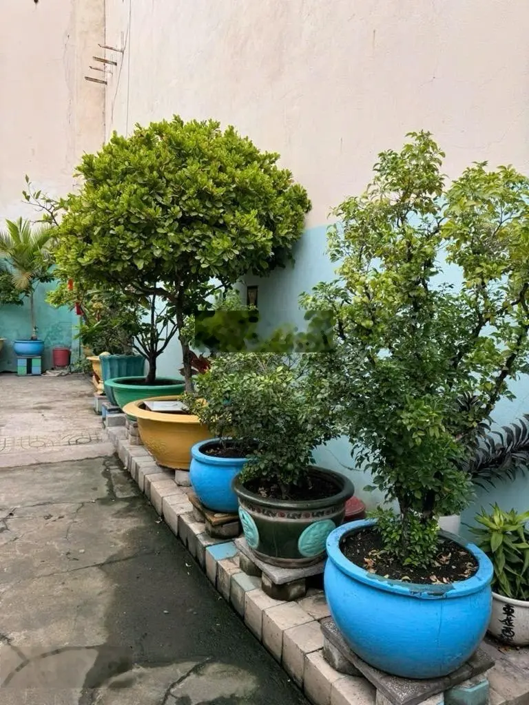 9 Tỷ hơn- Nhà nát 266m2- Ngang 7.5m -Tiện xây CHDV- Cạnh Trần Trọng Cung