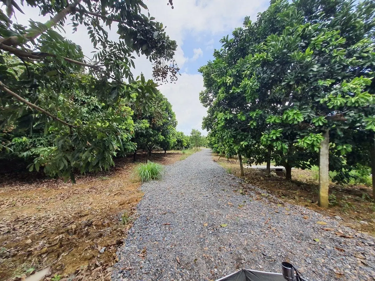 Chuyển nhượng 20.118m2 (hơn 2ha) đất thổ cư giá rẻ phù hợp xây nghỉ dưỡng homestay tại Lương Sơn