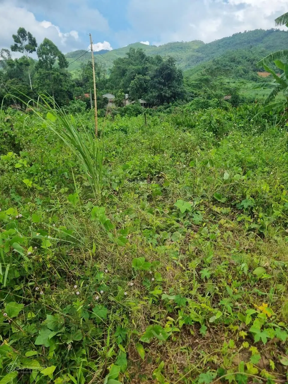 Bán đất view cánh đồng bám suối 3500m2, giá 2,x tỷ