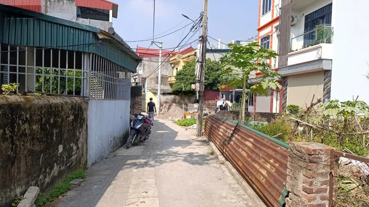 Bán lô đất 75m2 Tiên Hội- Đông Hội, mặt tiền 4.29m, nở hậu, ngõ ô tô.