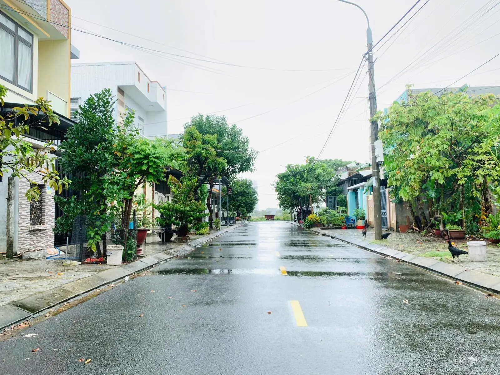 Bán gấp đất mặt tiền đường Bắc Thượng 2 gần ủy ban Hòa Hiệp Nam 95m2 Giá 2ty35 TL