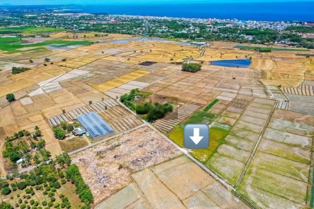 BÁN ĐẤT TT PHƯỚC HẢI NGANG 32M MẶT TIỀN ĐƯỜNG GIÁ 3,7 TỶ