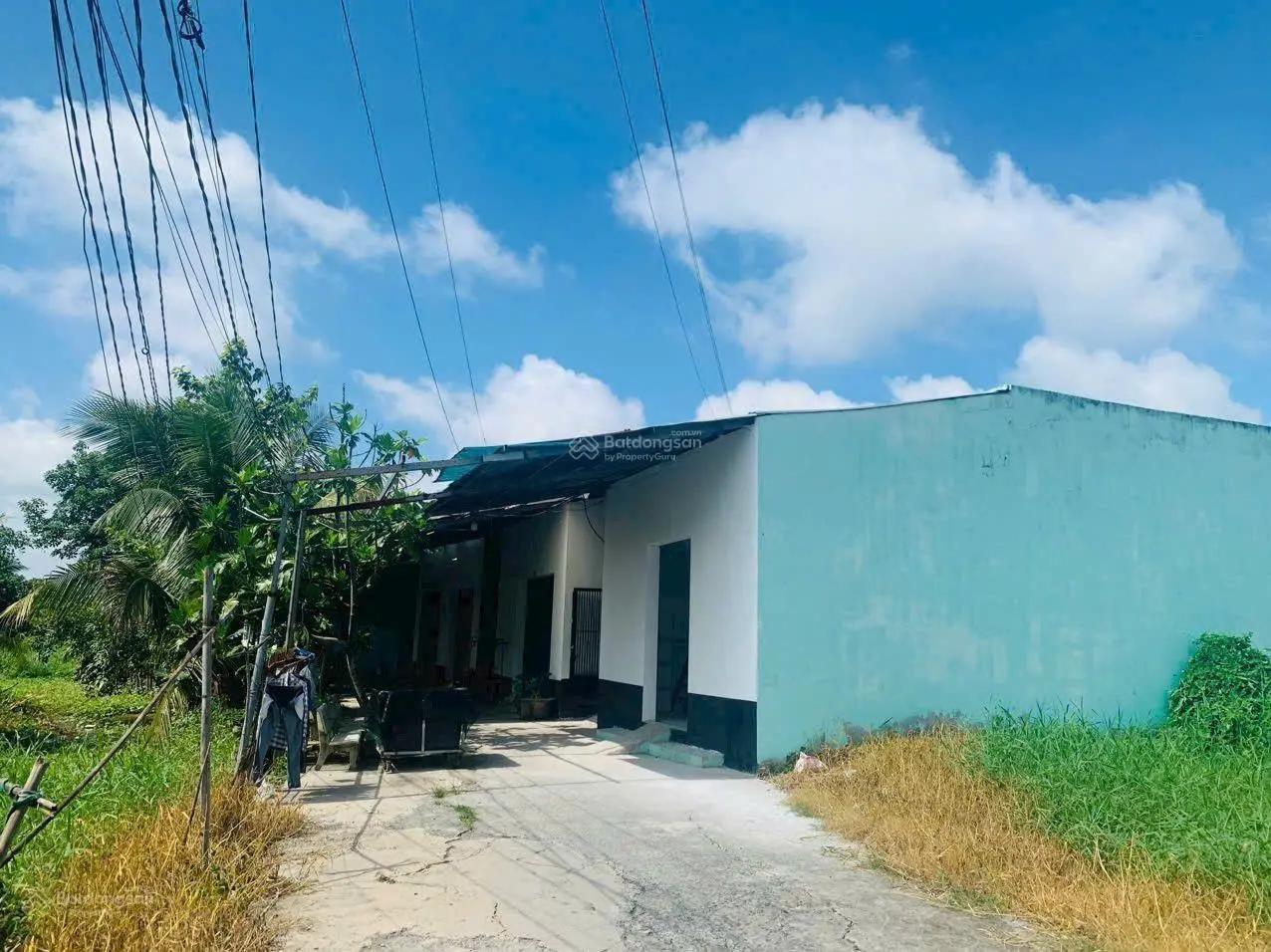 Bán 344m2 đất thổ trung tâm thị trấn Cần Giuộc, SHR, giá hấp dẫn chưa từng có