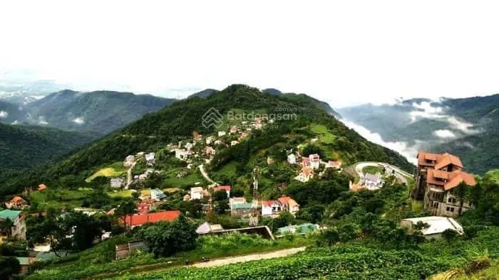 Chính chủ chuyển nhượng 7175m2 trung tâm thị trấn Tam Đảo, Vĩnh Phúc nhà hàng, KS, homestay, cafe