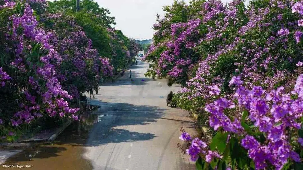 SIÊU PHẨM đất thổ cư đại lai 1 phú xuân