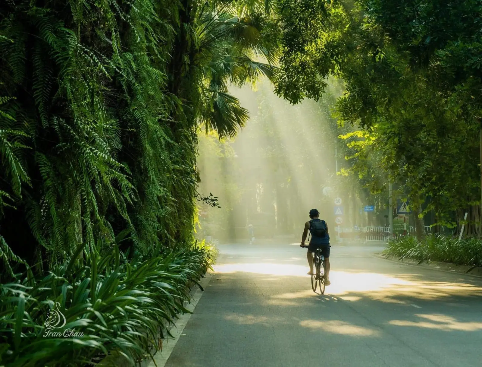 Tận hưởng cuộc sống xanh bất tận với dự án The Fibonan! Tầm view không che chắn vĩnh viễn