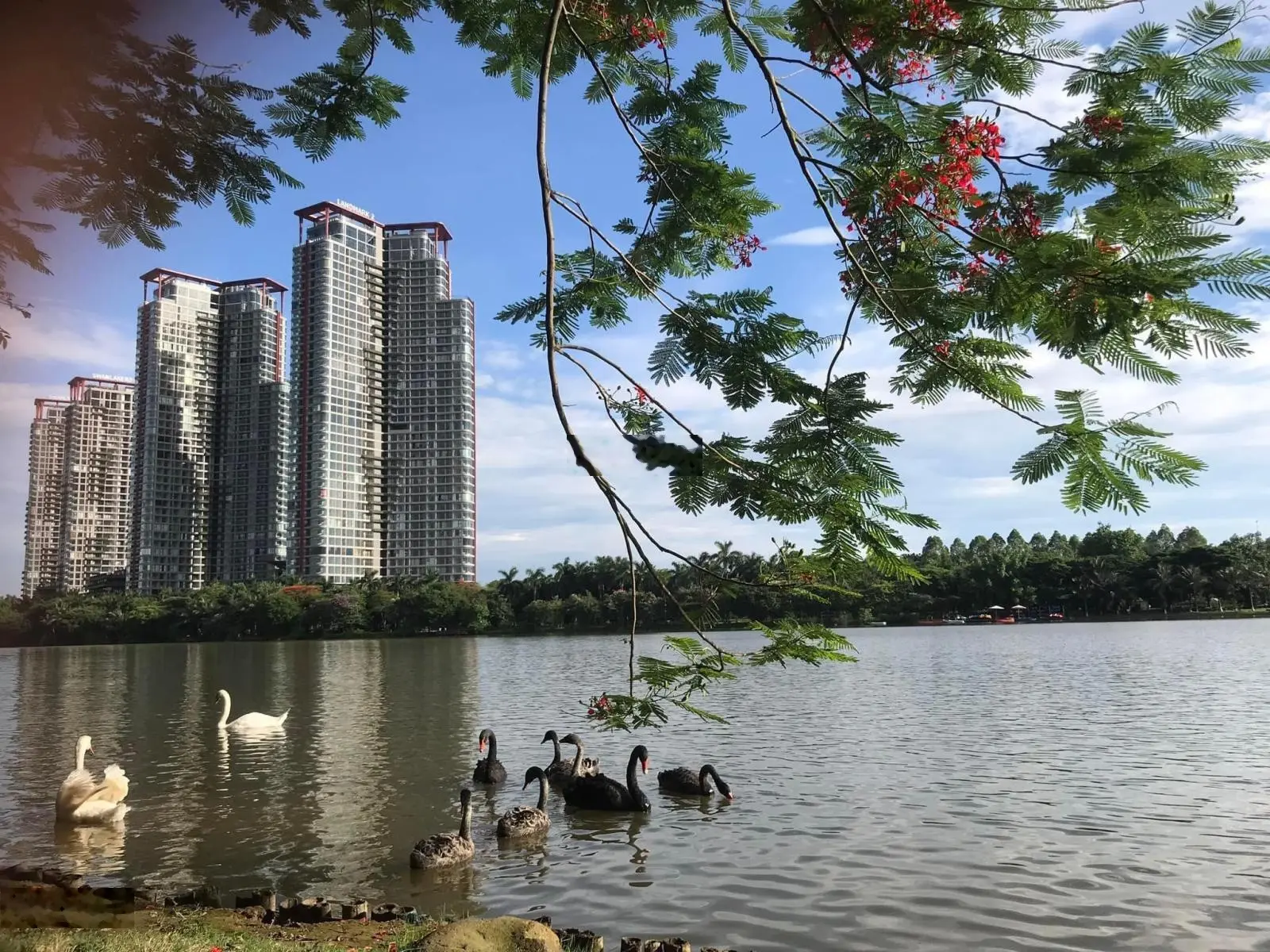 Chính chủ bán căn 3PN 98m2 căn hoa hậu của Swanlake Onsen Ecopark, view Hồ Thiên Nga LH 0979 397 ***