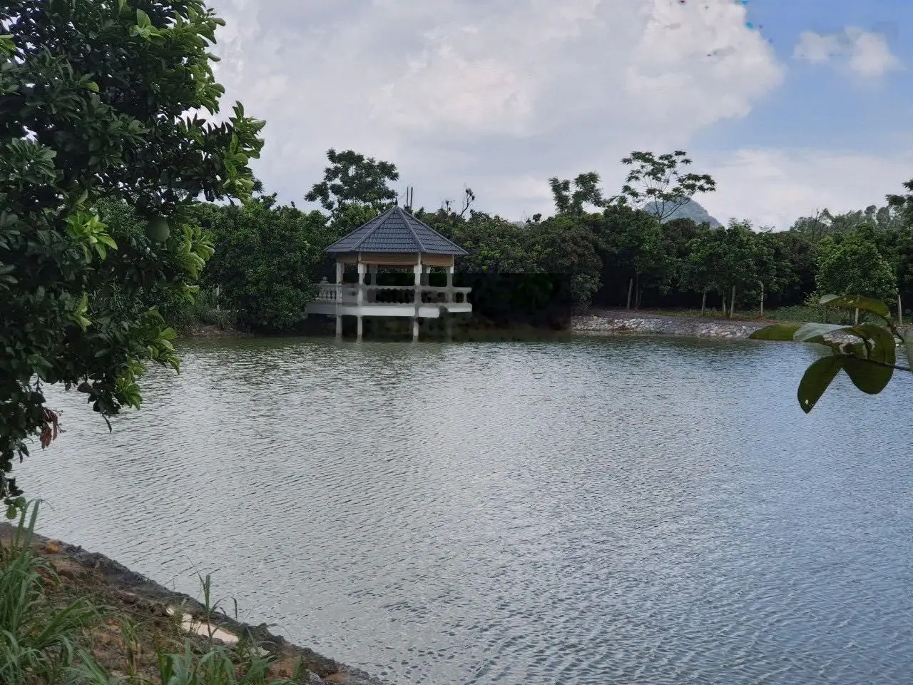 Chuyển nhượng 20.118m2 (hơn 2ha) đất thổ cư giá rẻ phù hợp xây nghỉ dưỡng homestay tại Lương Sơn