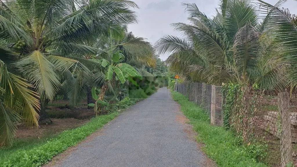 Bán Đất giá rẻ 19x65m MT Phan Tấn Nhã Thị Trấn Chợ Gạo - 1.6tr/m