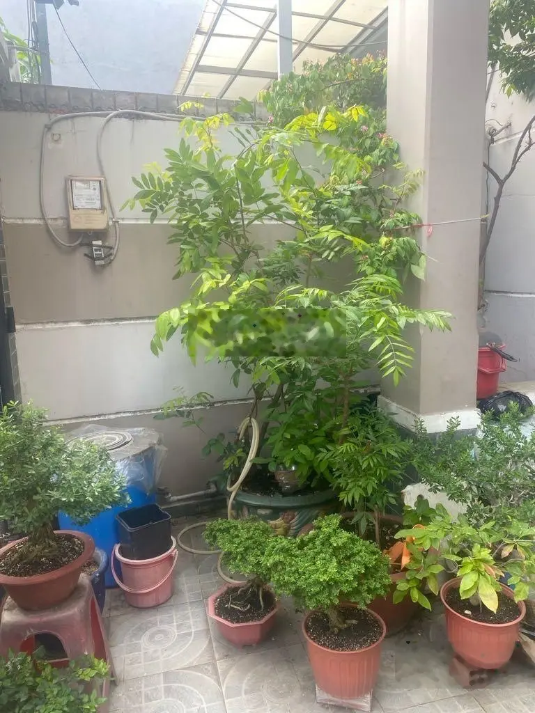 Gấp bán - nhà 3 tầng - 118m2 - ngang 8x15m - Nguyễn Thị Thập ND - chỉ 8,5 tỷ