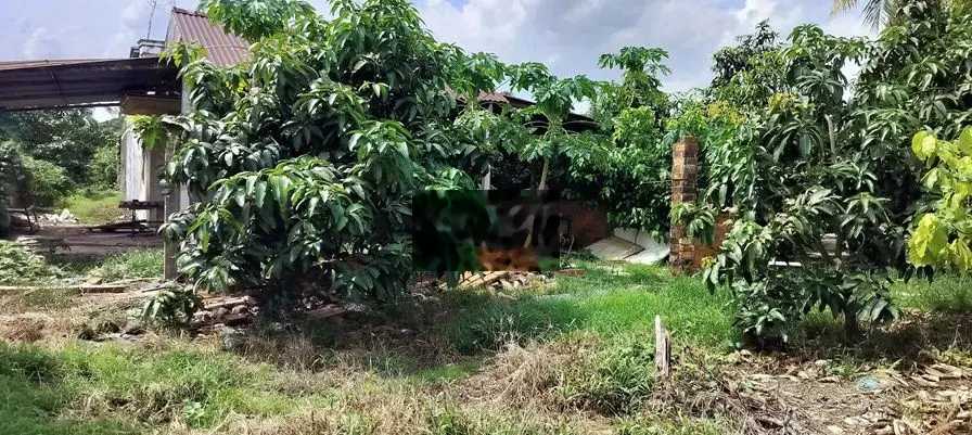 Chính Chủ Bán Lô Đất MẶT TIỀN 12M PHẠM HÙNG - Phường 8