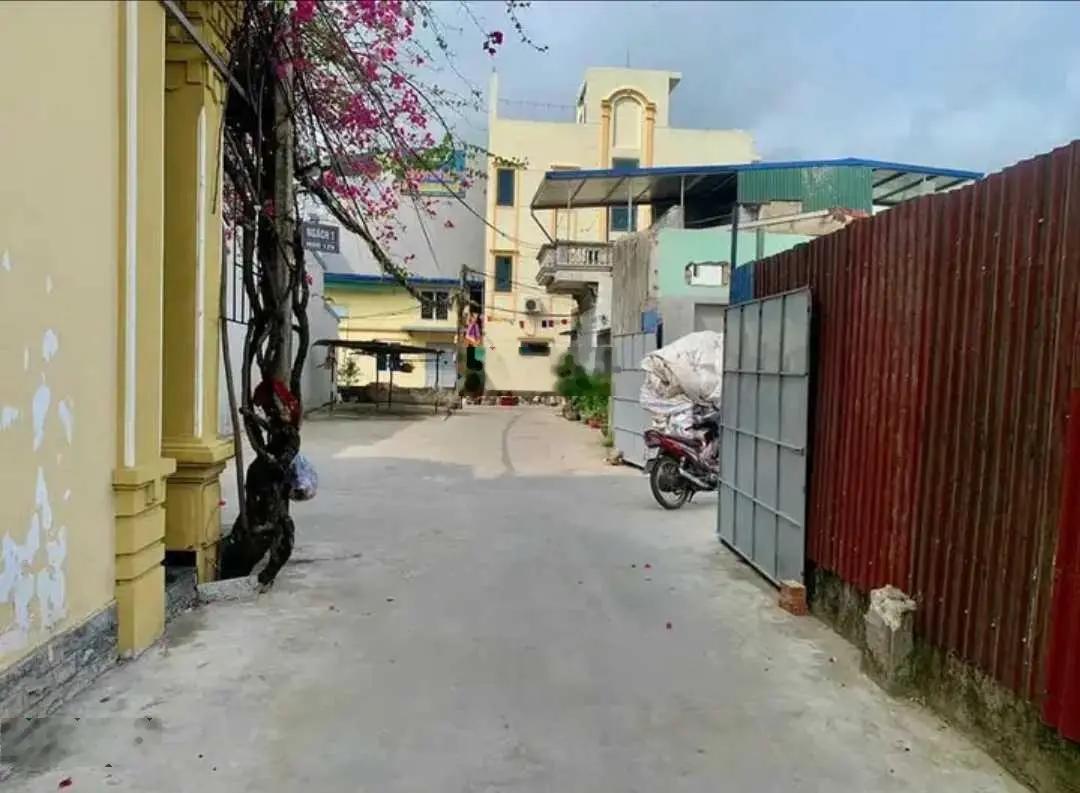 Bán đất hướng Đông Nam tại Cái Tắt, An Đồng, An Dương, Hải Phòng. Diện tích 60m2, giá 2,4 tỷ