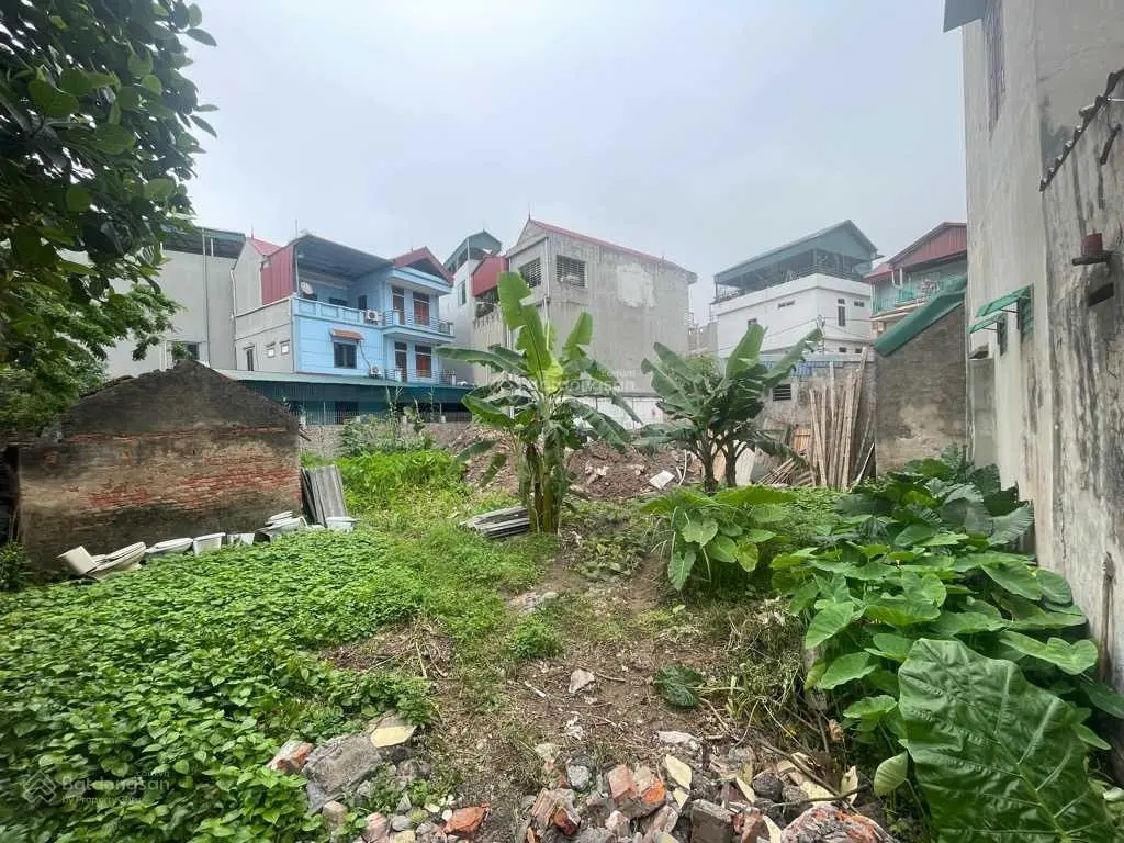 Bán đất đẹp 100m2 Kiêu Kị, Gia Lâm