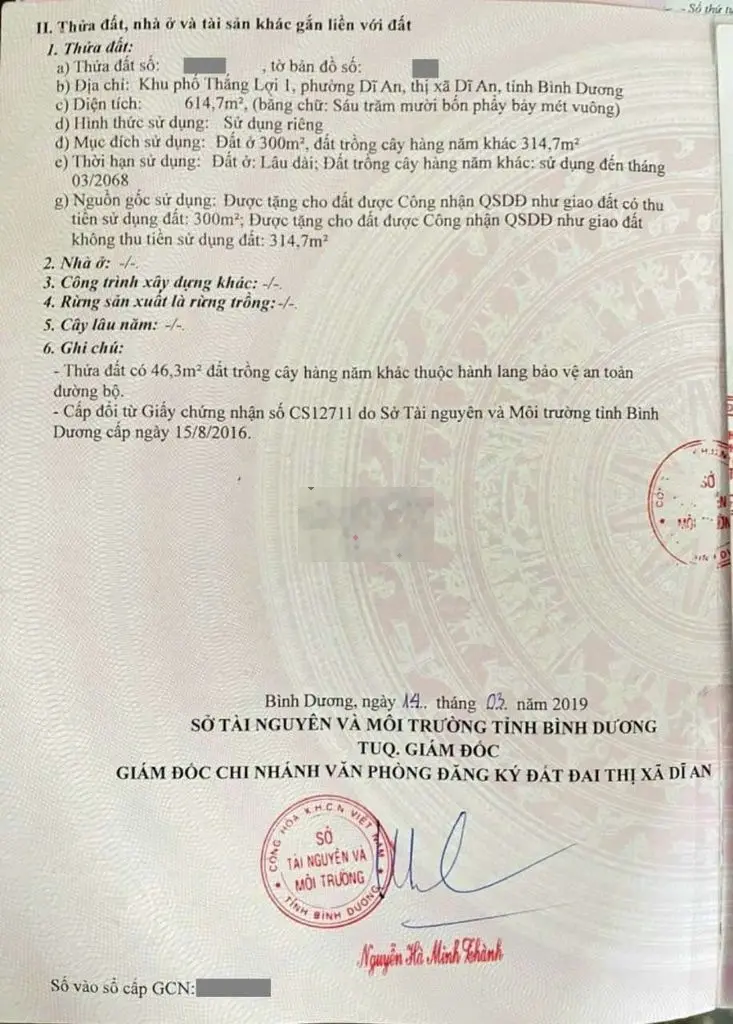 Mặt Tiền Kinh Doanh Biệt Thự Gần Chợ Trường Học Đ. Nguyễn Du, Dĩ An