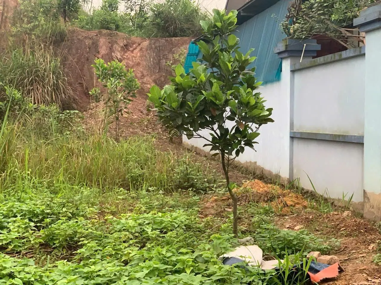 ĐẤT ĐẸP GIÁ TỐT - CHÍNH CHỦ Cần Bán Lô Đất Vị Trí Đẹp Tại Phường Tân Lập, TP Thái Nguyên
