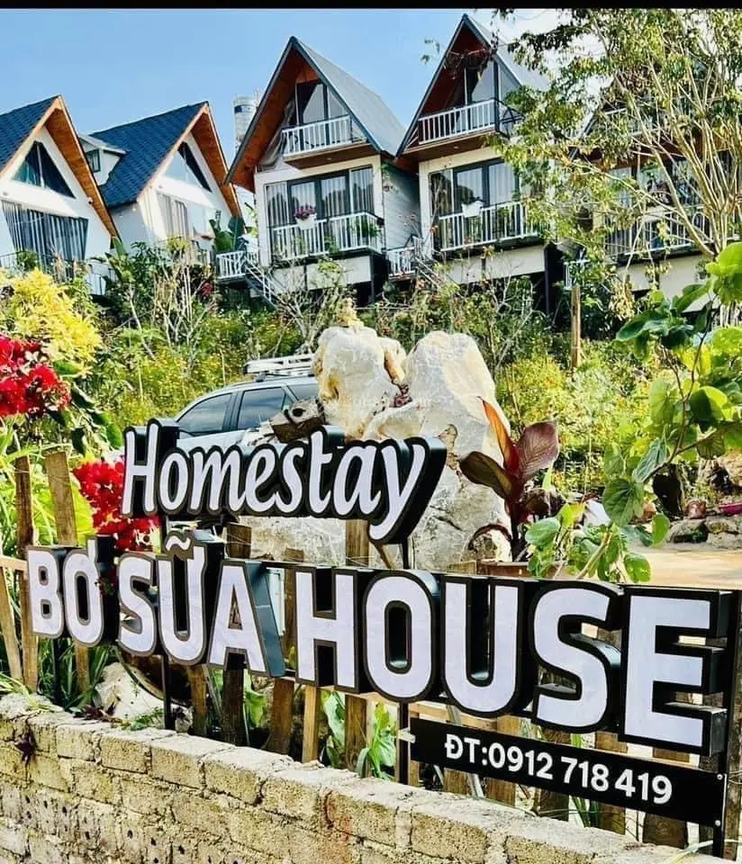 Bán Homestay xinh đẹp có 5 căn bungalow 2 nhà đất kiểu Mông đang kinh doanh hiệu quả