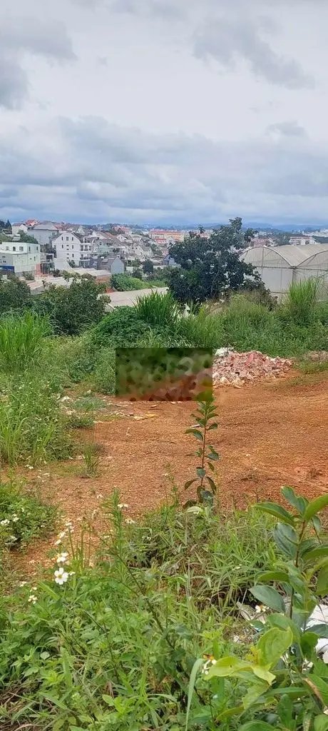 🌳Bán lô đất Nam Hồ 275m- 7 Tỷ 2 giá đầu tư- gần trung tâm tp Đà Lạt