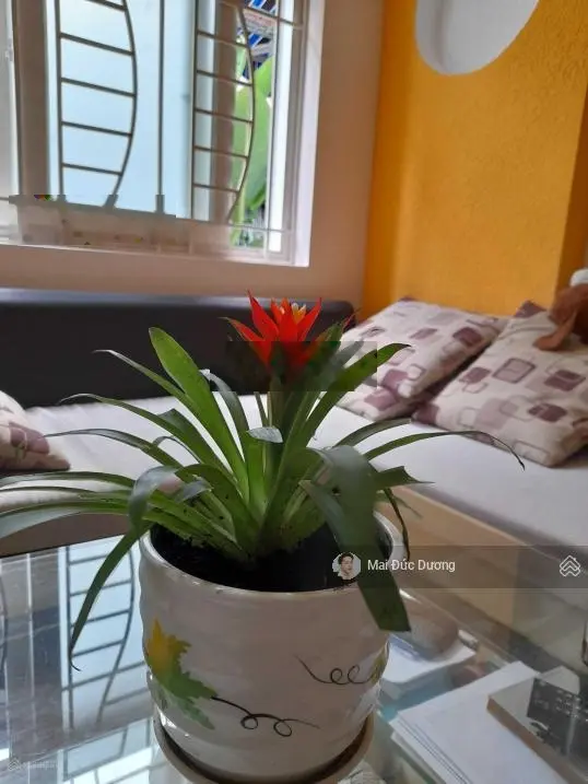 Căn Duy Nhất ! Nhà đẹp, ngang lớn HXH Nguyễn Văn Đậu, p5, PN. DT 6x 15m, 3 tầng. Chỉ 10,5 tỷ TL