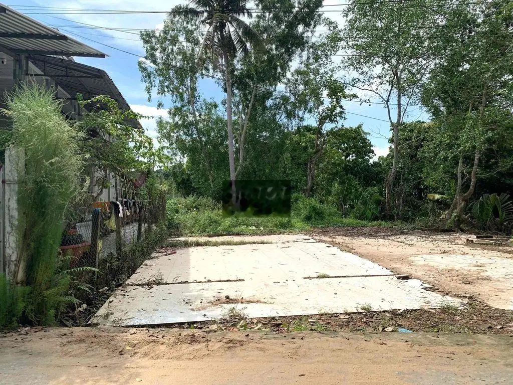 4,45x16,6=74m2 Thổ Cư,CLN Nền Rạch Trà Niền,Phong Điền,TPCT Giá 470tr
