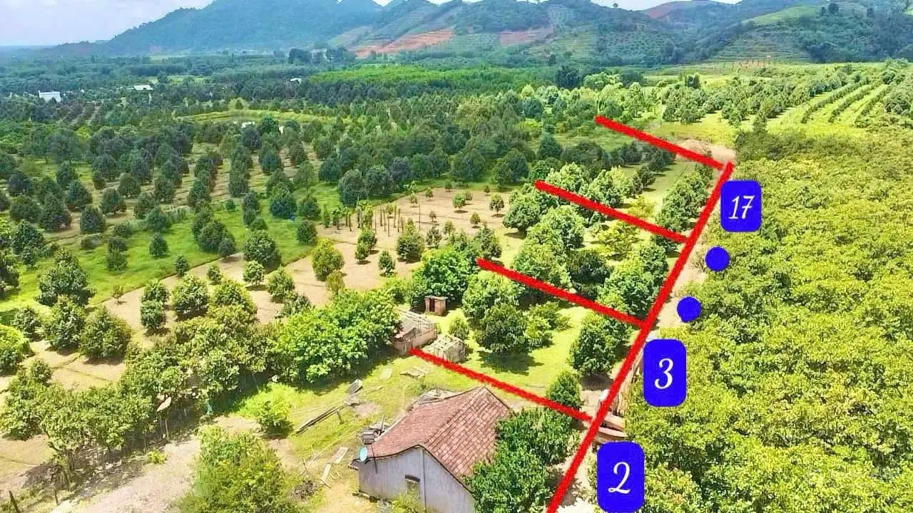 Tôi cần bán gấp 17 khu vườn sẵn sầu riêng 6 năm tuổi, sẵn 100m2 thổ cư. Giá: Chỉ từ 479 triệu