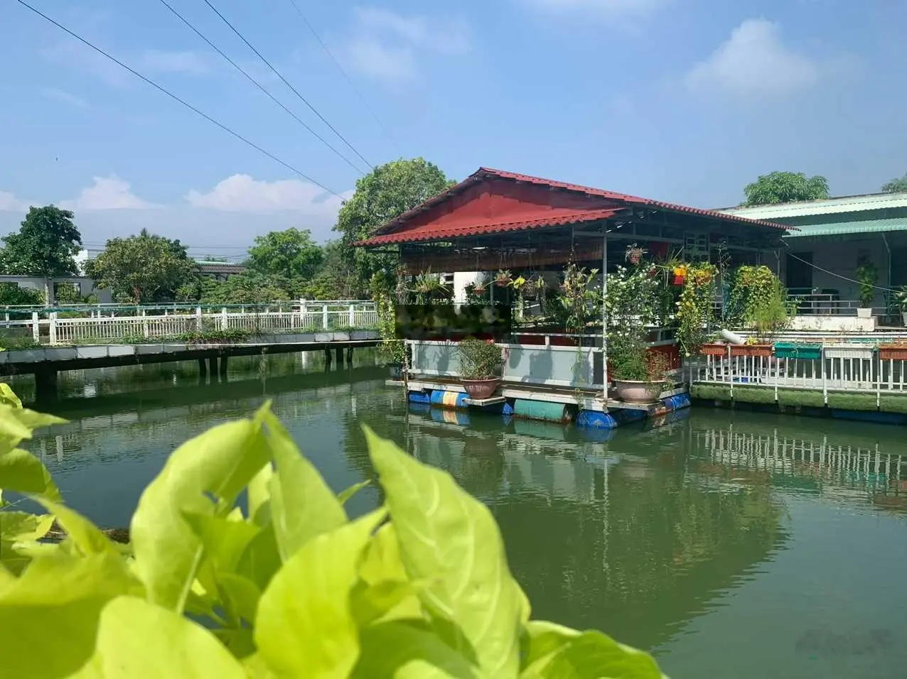 Ngộp lắm rồi, bán nhanh nhà vườn siêu đẹp TT Cần Giuộc 2569m2, 3 mặt tiền, ngang 32m x dài 83m