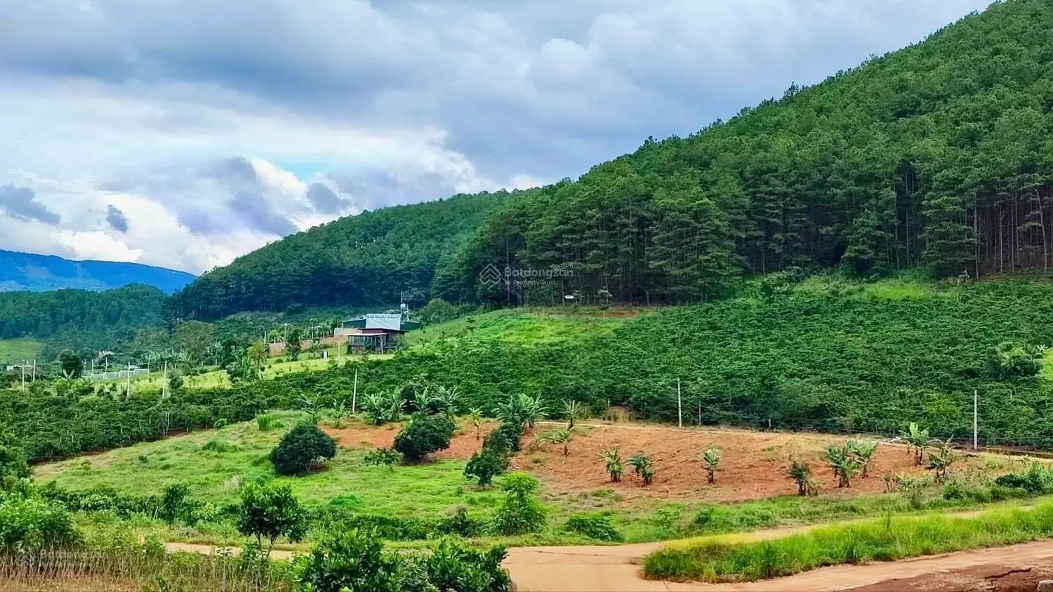 Bán lô đất cách trục 725 chỉ 600 m view thông TT xã Mê Linh sát cạnh Đà Lạt giá hơn tỷ