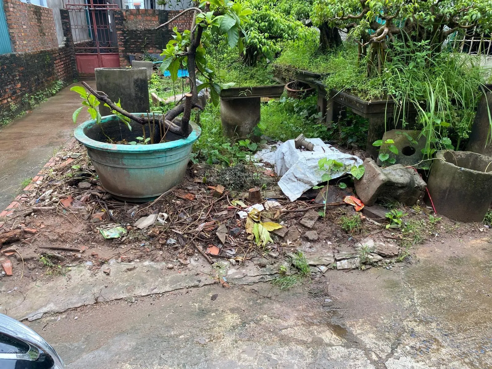 Lô góc siêu hiếm ,cự khối , sổ vuông vắn đẹp sẵn sàng sang tên.ngõ no