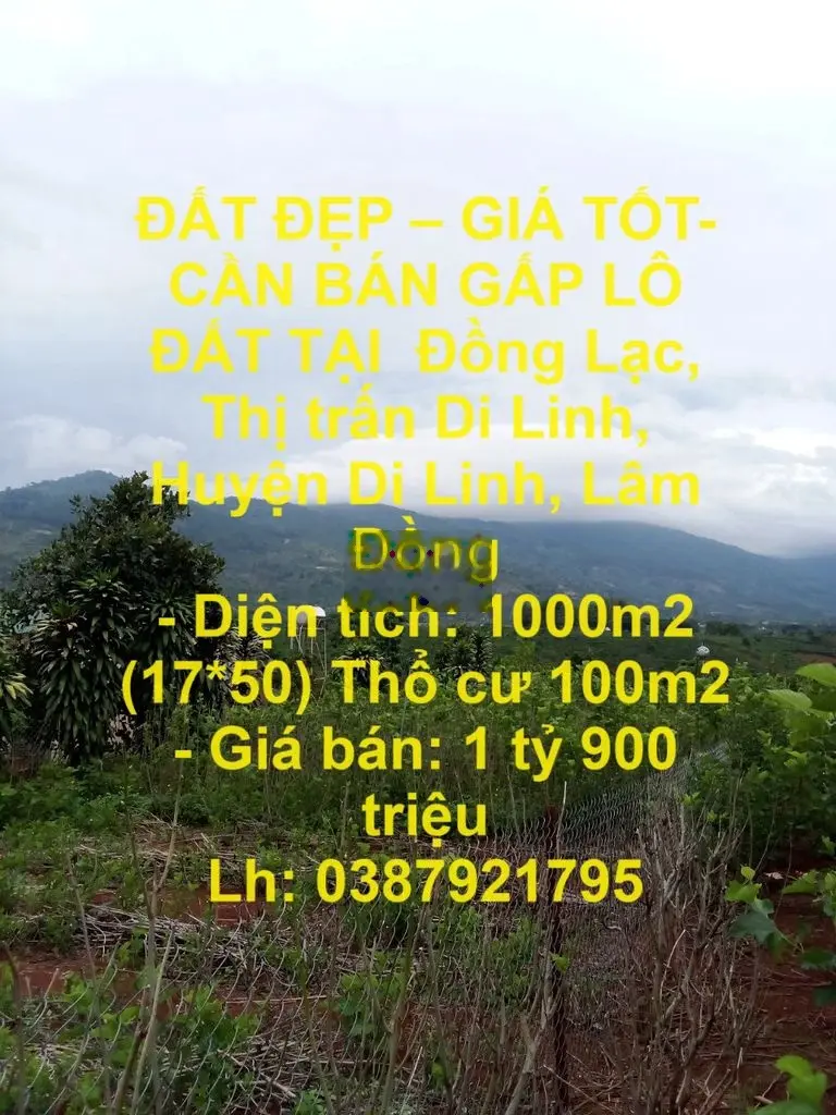 BÁN GẤP LÔ ĐẤT TẠI Đồng Lạc, Thị trấn Di Linh, Huyện Di Linh,Lâm Đồng