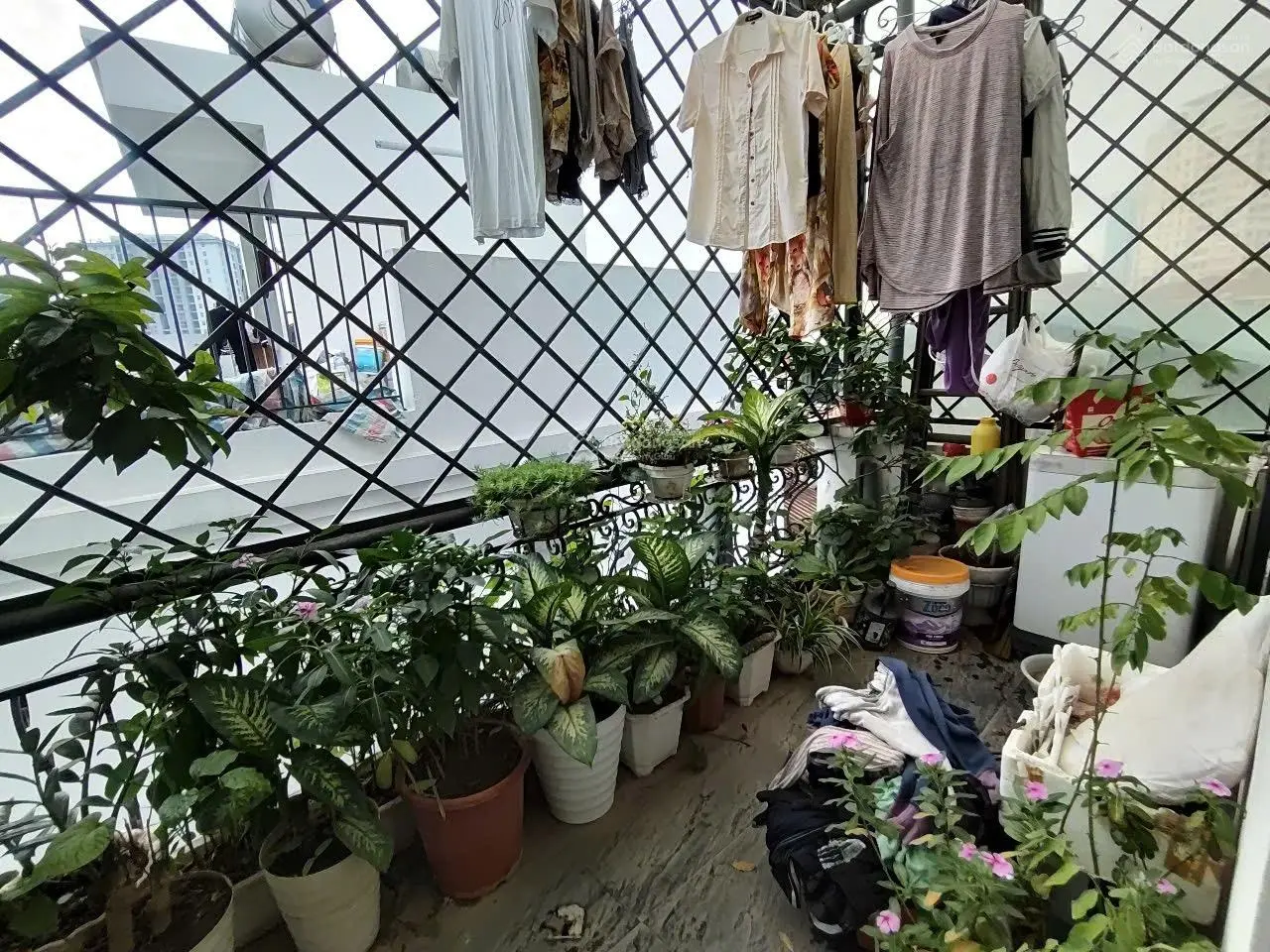 Hiếm! Bán nhà Gốc Đề 42m-6 ngủ-Lô góc-5m ô tô-8tỷ