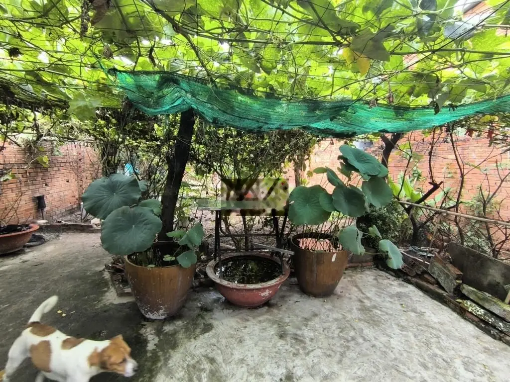 💥 BÁN GẤP NHÀ BÌNH CHIỂU, THỦ ĐỨC, 200M2, TẶNG 1 SỔ 75M2, CHỈ 6,2 TỶ,