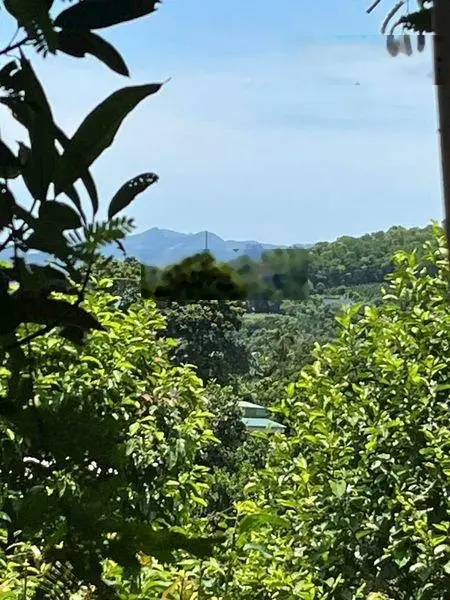 Bán mảnh đất sẵn nhà biệt thự mái Thái mới xây, view đẹp như tiên cảnh, 900m2 chỉ 2.7 tỷ