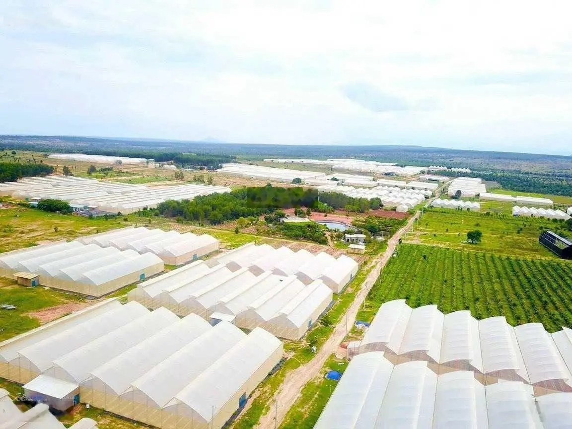 Bán 5576m2 đất mặt tiền đường chính vào khu farm Hoà Thắng, MT đường 10m, cách biển 15 phút đẹp