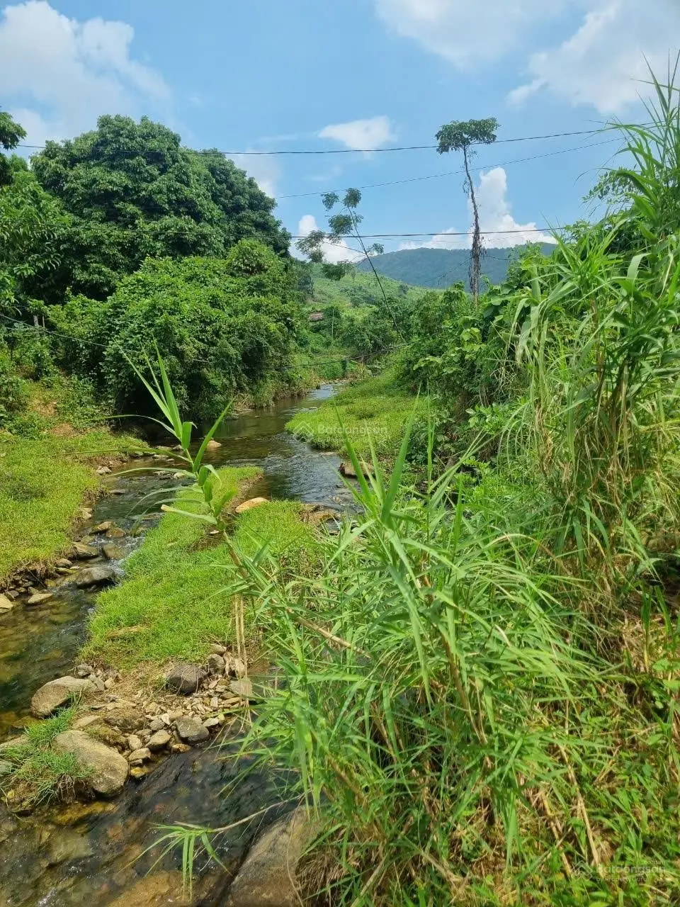 Bán đất view cánh đồng bám suối 3500m2, giá 2,x tỷ