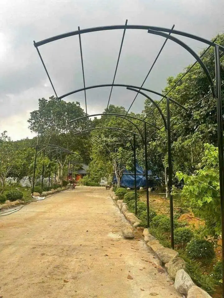 cần chuyển nhượng lô đất nghỉ dưỡng tuyệt đẹp tại tiến xuân