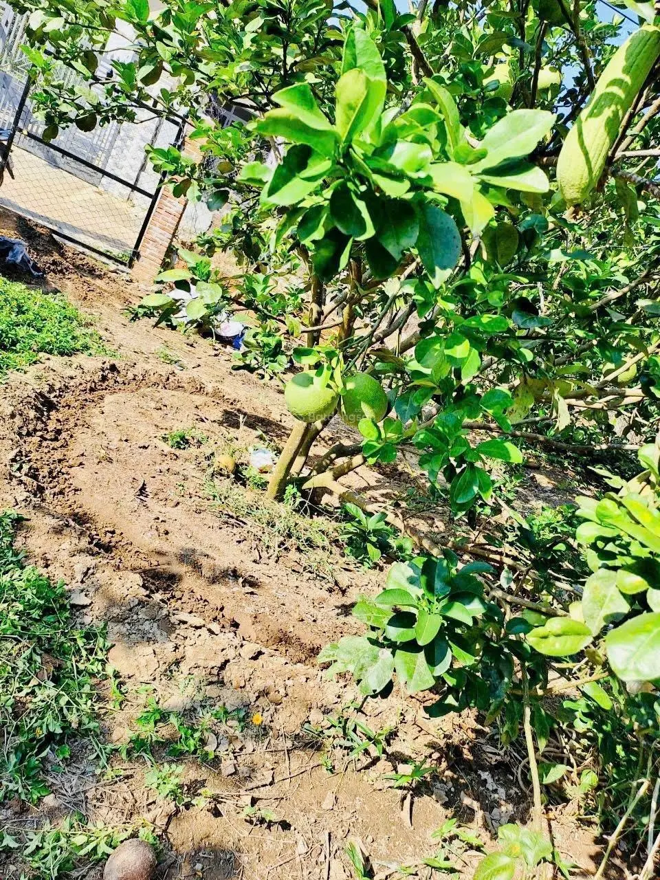 Chính chủ cần tiền làm ăn bán lô đất ngay thị trấn Khánh Vĩnh giá rẻ, LH: 0762 111 ***