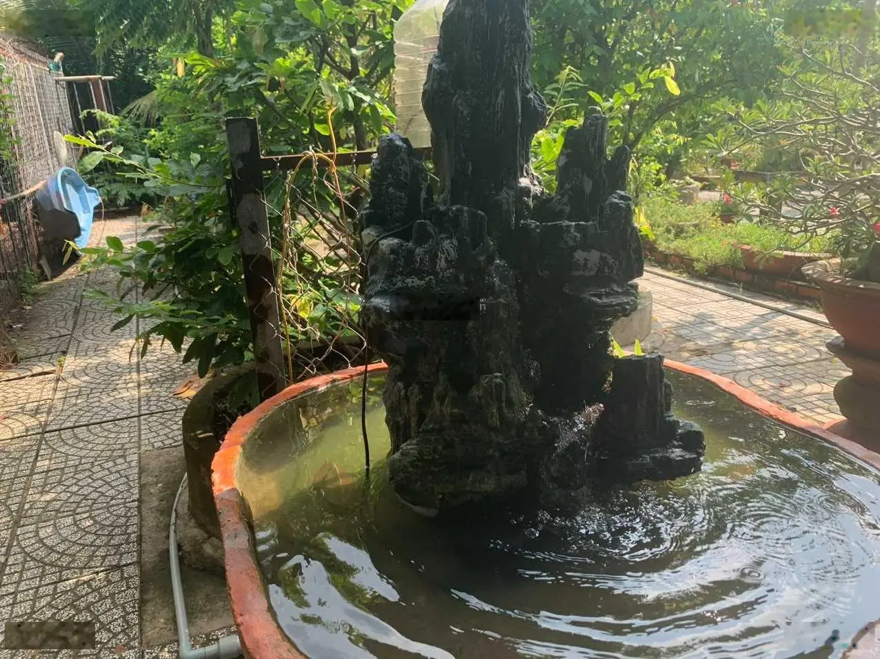 Ngộp lắm rồi, bán nhanh nhà vườn siêu đẹp TT Cần Giuộc 2569m2, 3 mặt tiền, ngang 32m x dài 83m