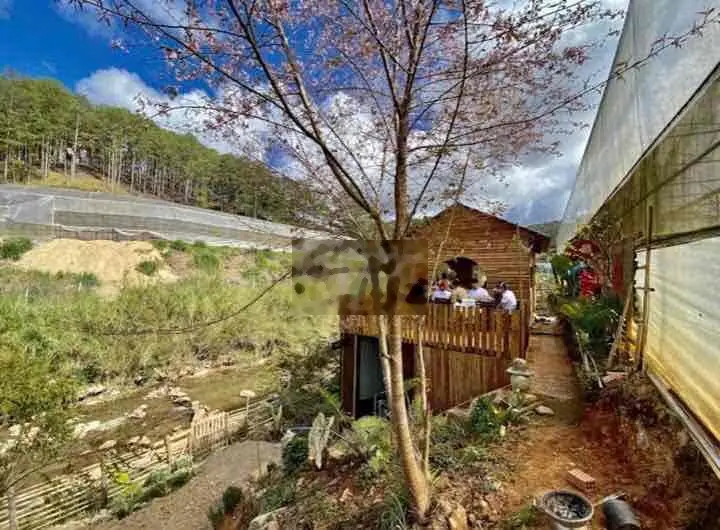 Chủ Nợ ngân hàng bán homestay có nhà sẵn thị trấn Lạc Dương có 200m2 ở