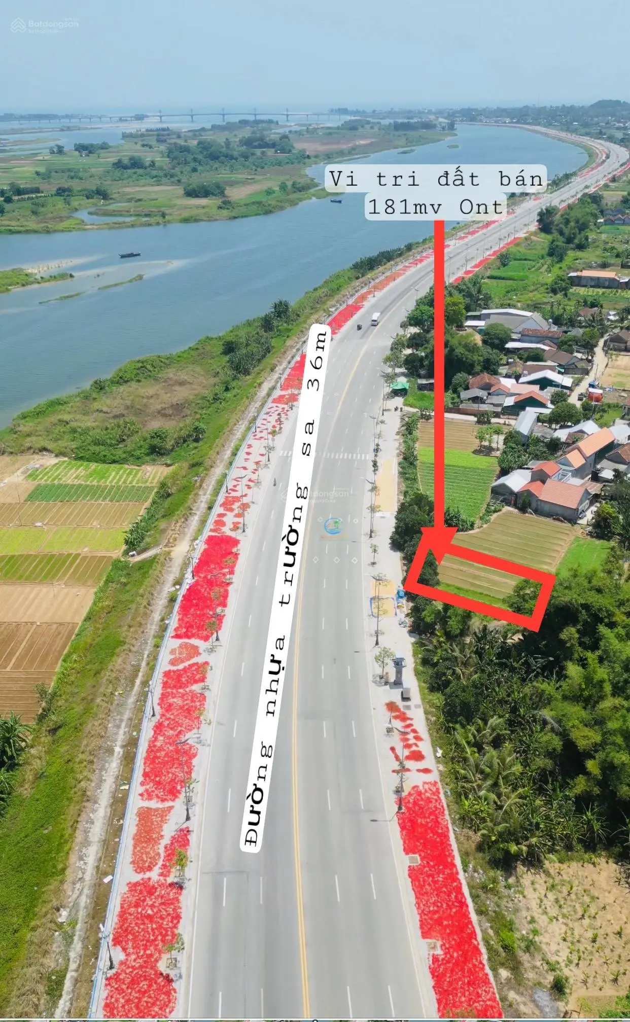 Chinh chủ cần bán lo đất Mỹ đường nhựa trường sa dien tích 200mv gia chi hơn 10tr/1mv kha rẻ