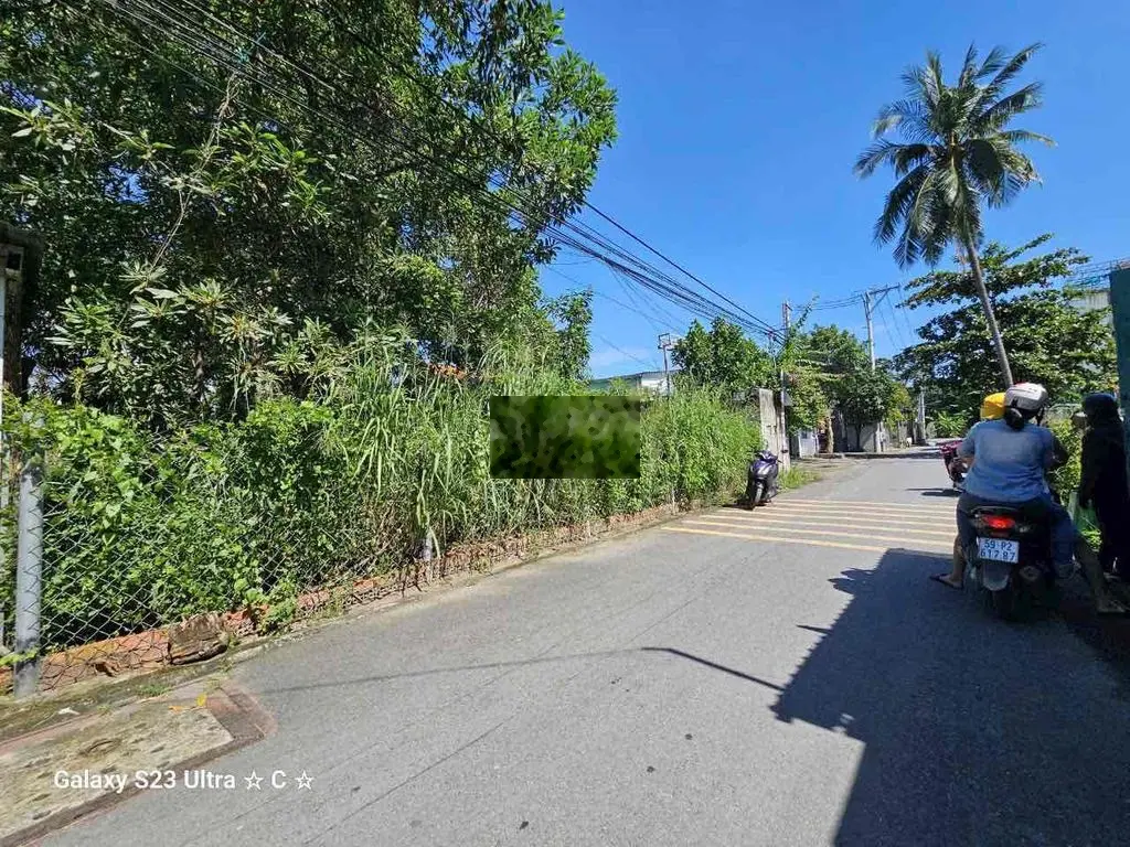 Đất vp48 đường nhựa . ( 13 x 40m )