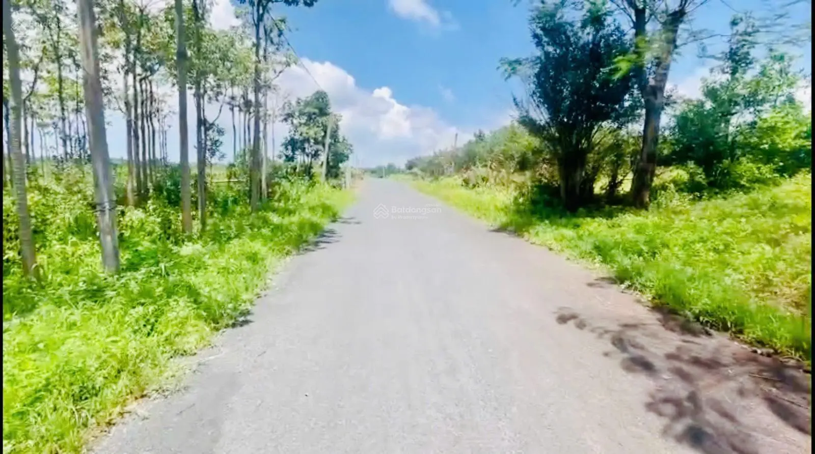 Cần bán 7.709m2 đất mặt tiền đường nhựa cách hồ Bà Tô 4km giá ngộp ngân hàng - LH: 0909 124 ***