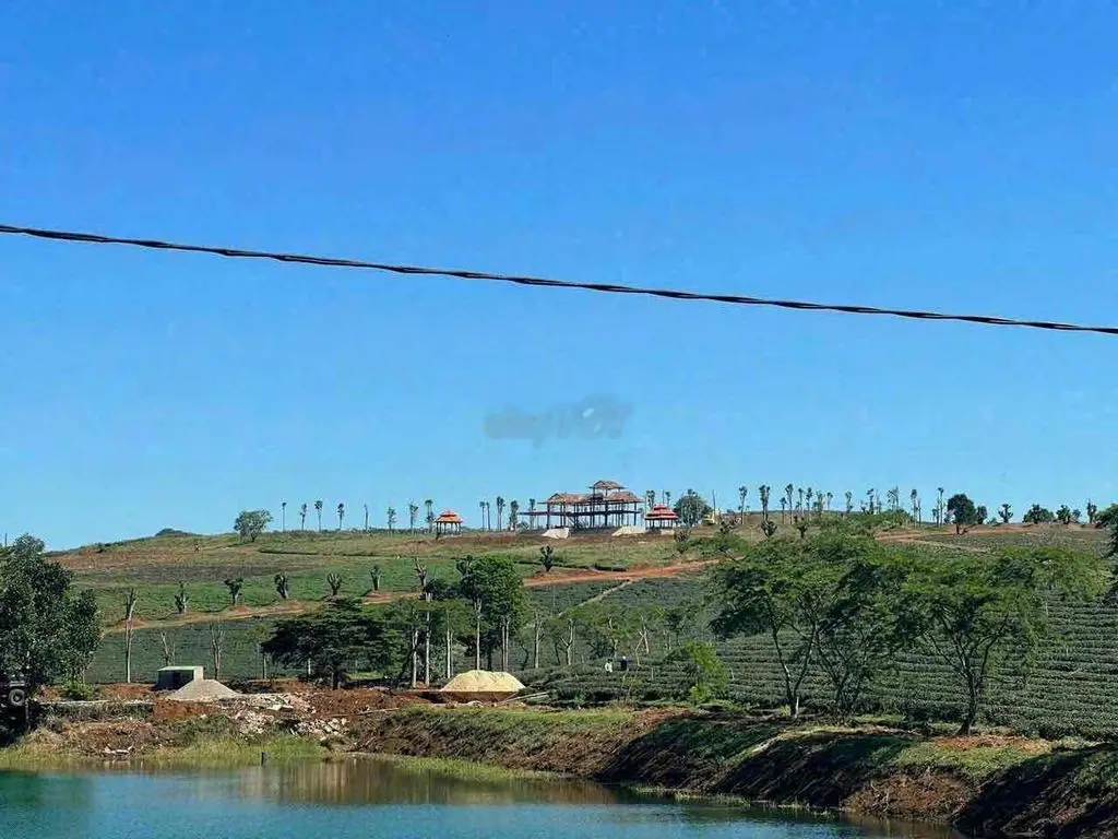 Cần bán gấp lô đất ngộp giá đầu tư ngay nút giao cao tốc Dầu Giây - Li