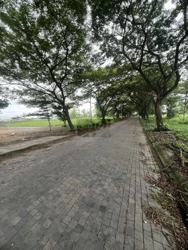 Cần bán lô đất 220m2 khu biệt thự cùm bao Long khê full thổ cư