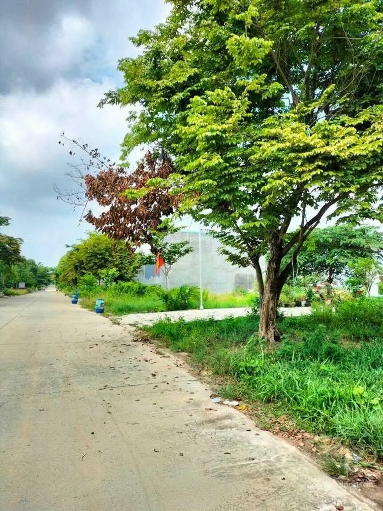 Gia đình cần tiền bán gấp lô đất ngay Mỹ Phước 4 và 3, đường nhựa 16m, gần các tiện ích