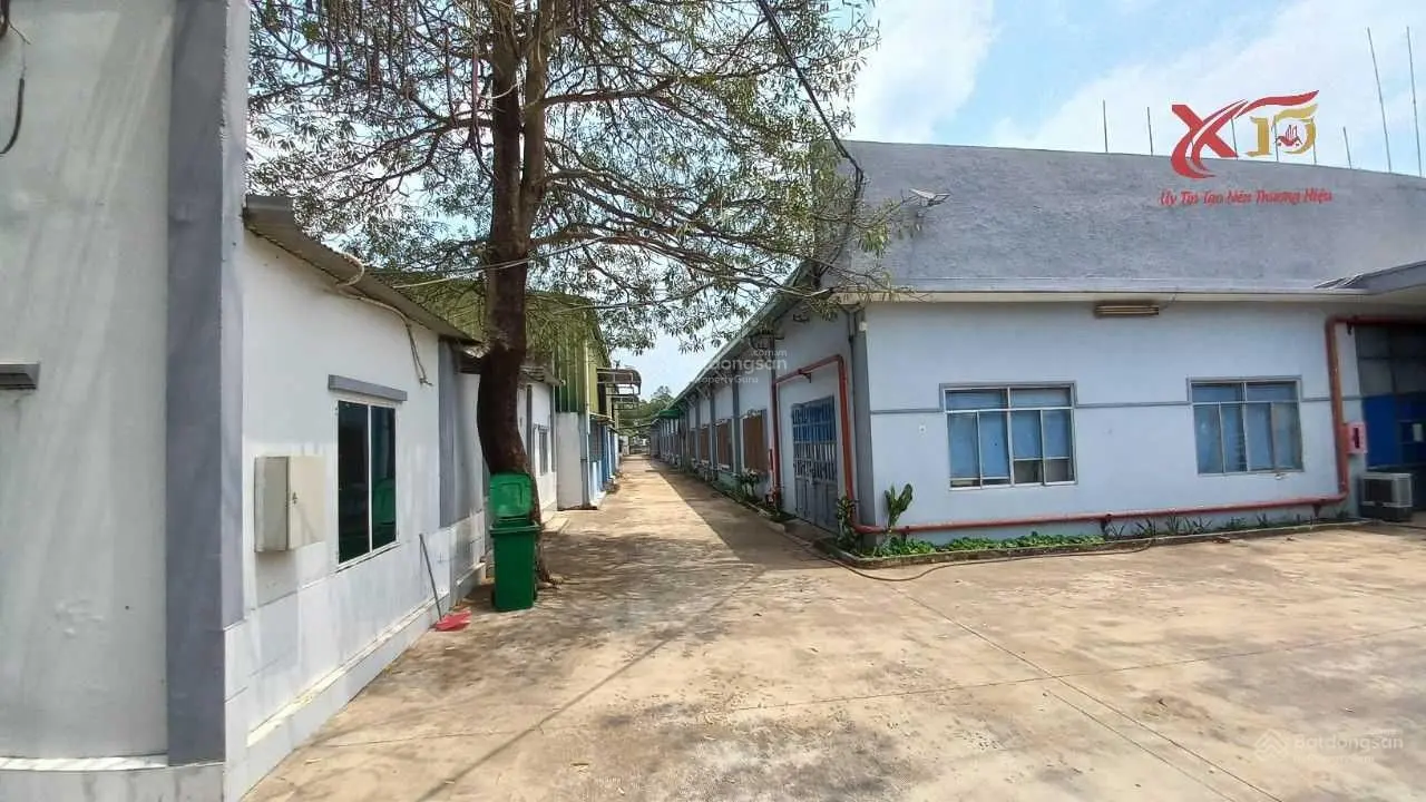 Cần bán nhà xưởng may mặc 11.800 m2 chỉ 90 tỷ