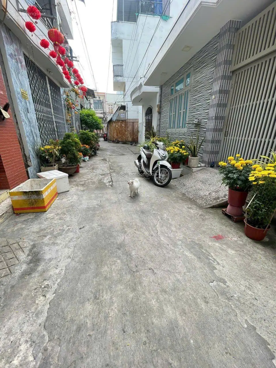 HXH Nguyễn Sỹ Sách, P.15, 10x14m (140m2) thu nhập 16tr, giá 11tỷ100 TL