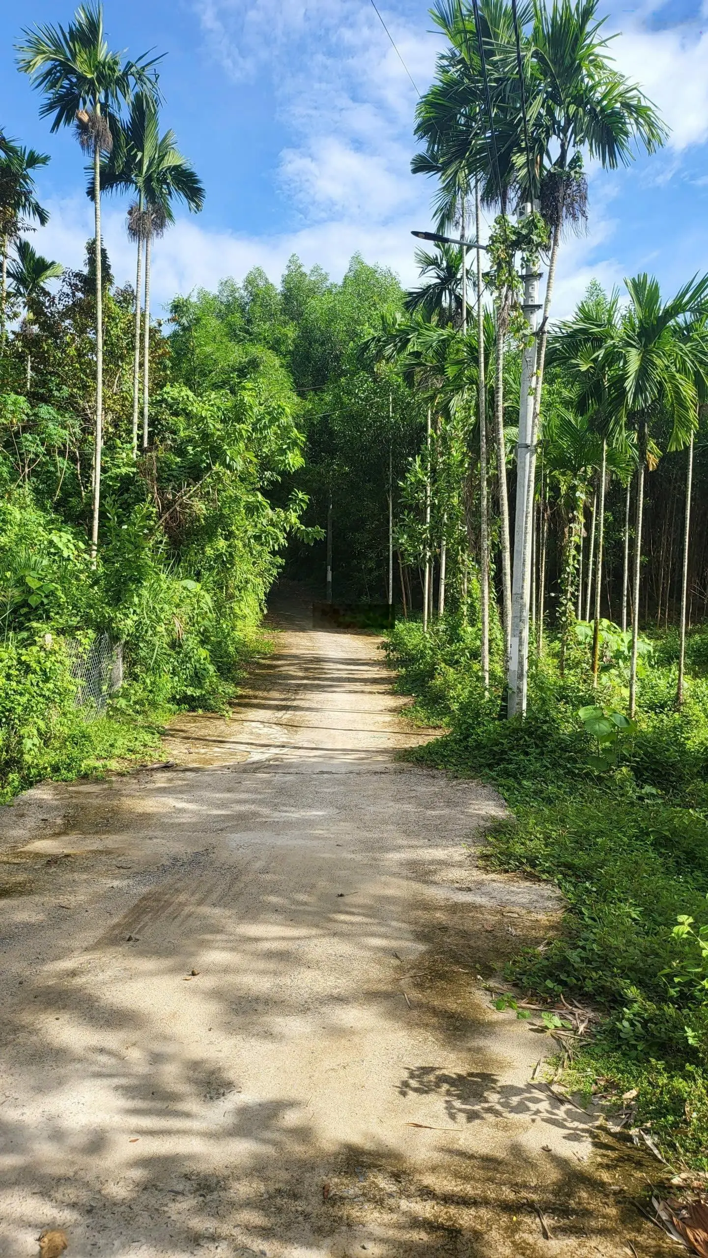 Cần bán nhà vườn rộng 1,5ha gần KDL Bà Nà Có sẳn farm cho khách lên chơi ở lại tiện nghi đầy đủ