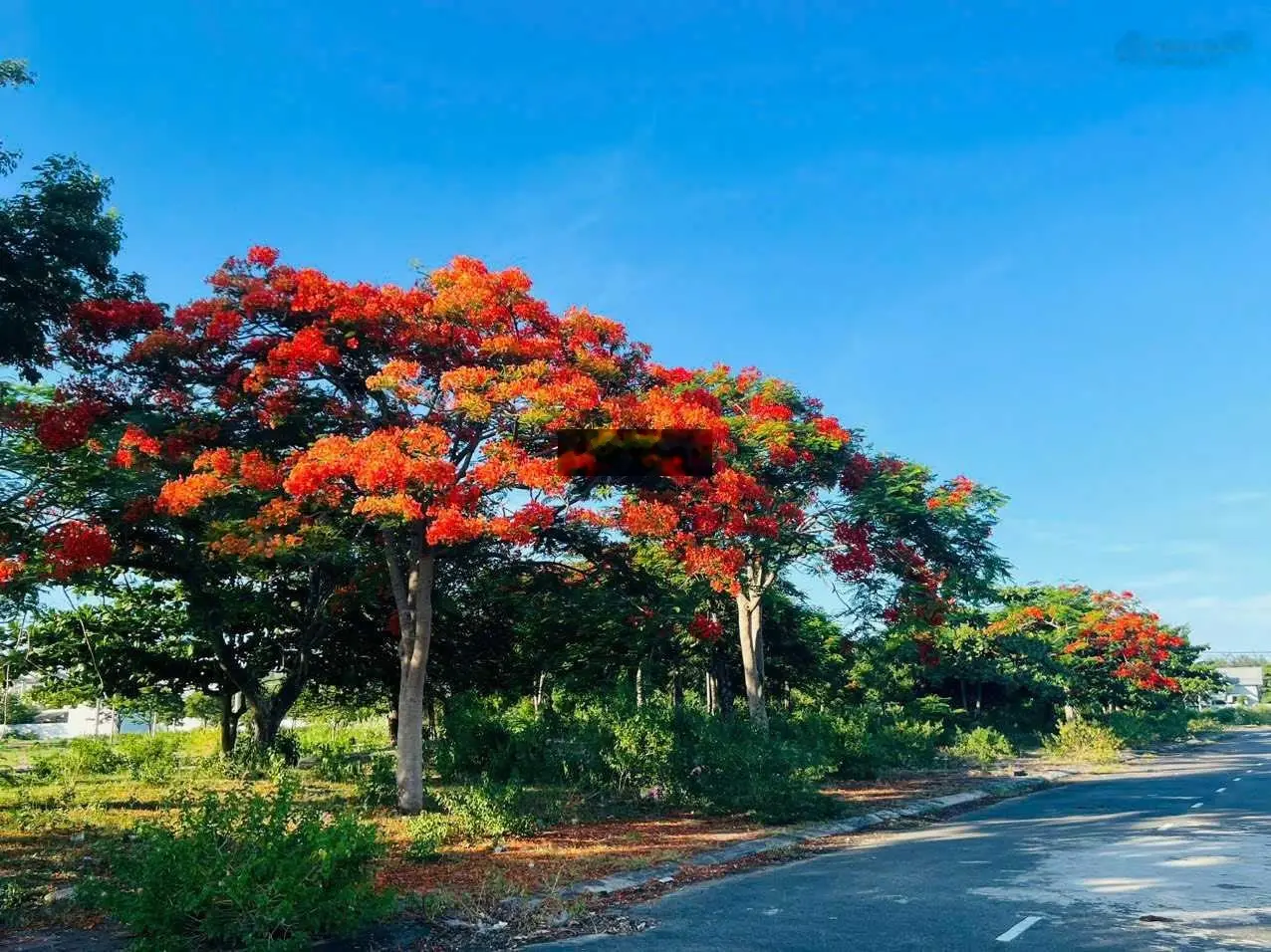 Đất nền biệt thự view sông Cổ Cò KĐT Green City, hướng Đông nhìn qua sân Golf. Giá chỉ 24tr/m2