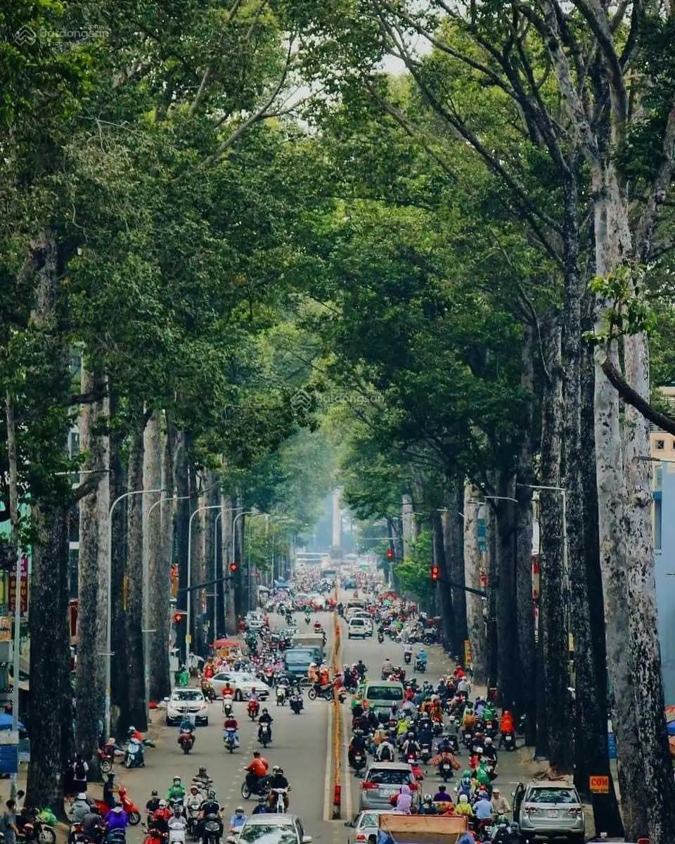 Bán nhà Q3, HXH 9x22m, CN 210m2: Giá 44 tỷ TL