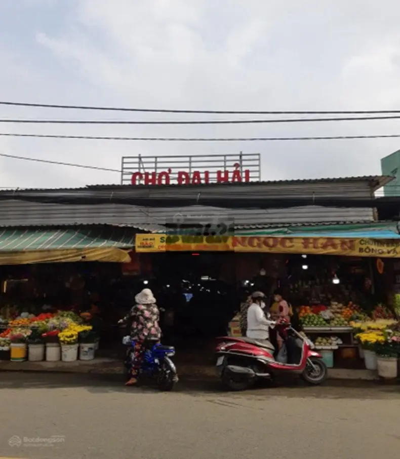 Đất thổ cư HXH Phan Văn Hớn, XTT, Hóc Môn, 227m2, ngang 10m, 8 tỷ